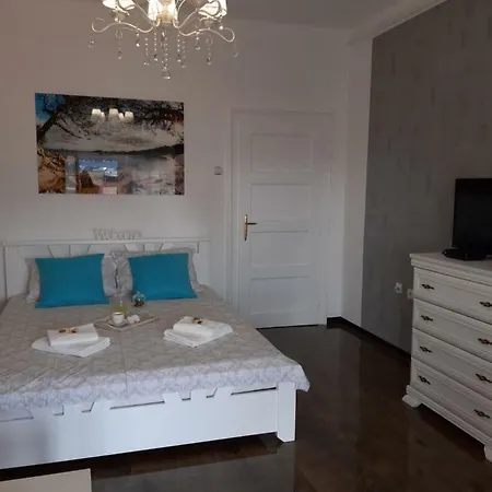 Zorana-center *
