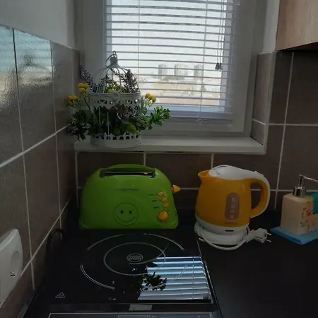Zorana-center Apartment *