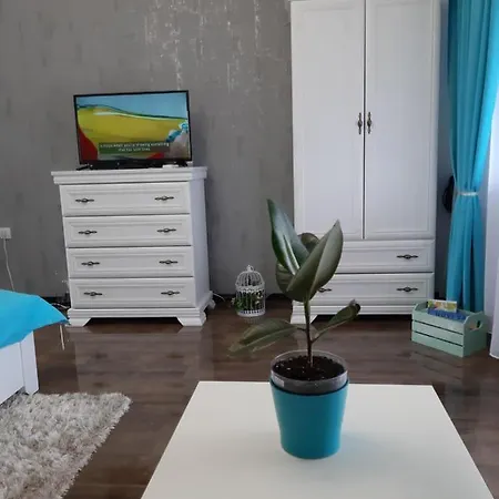 Zorana-center Apartment *
